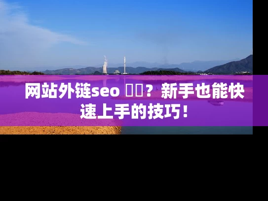 网站外链seo কি？新手也能快速上手的技巧！