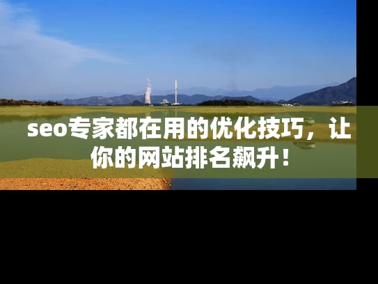 seo专家都在用的优化技巧，让你的网站排名飙升！