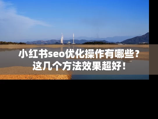 小红书seo优化操作有哪些？这几个方法效果超好！