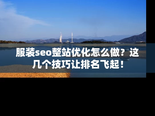 服装seo整站优化怎么做？这几个技巧让排名飞起！