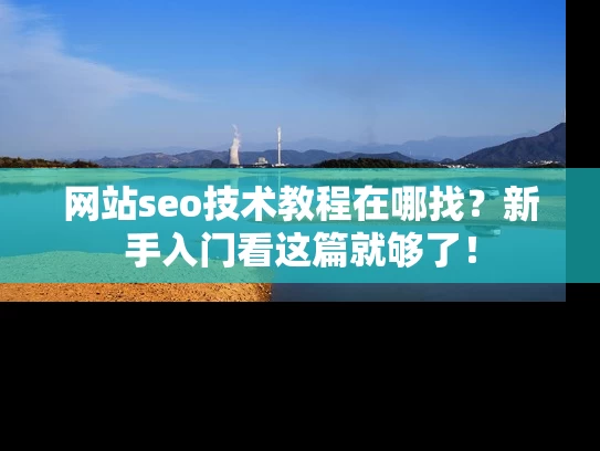 网站seo技术教程在哪找？新手入门看这篇就够了！