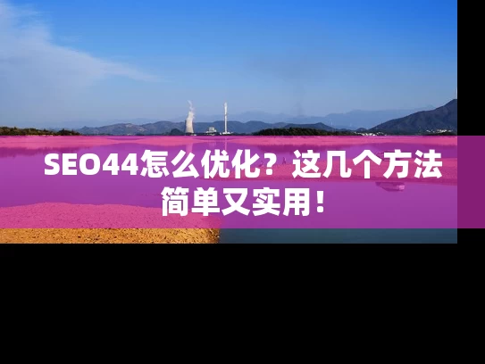SEO44怎么优化？这几个方法简单又实用！