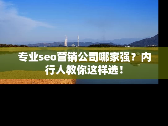 专业seo营销公司哪家强？内行人教你这样选！
