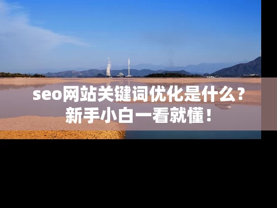 seo网站关键词优化是什么？新手小白一看就懂！