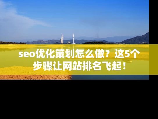 seo优化策划怎么做？这5个步骤让网站排名飞起！