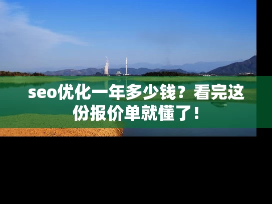 seo优化一年多少钱？看完这份报价单就懂了！