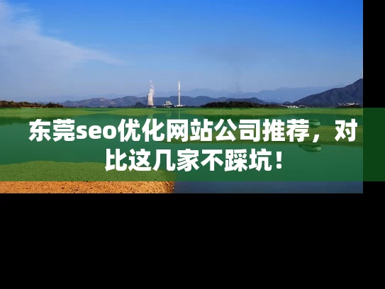 东莞seo优化网站公司推荐，对比这几家不踩坑！