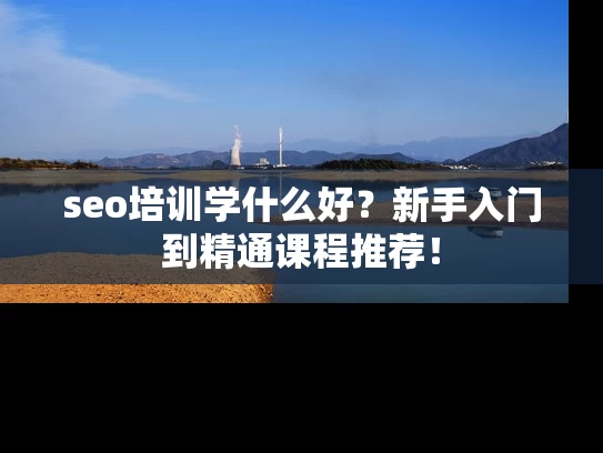 seo培训学什么好？新手入门到精通课程推荐！