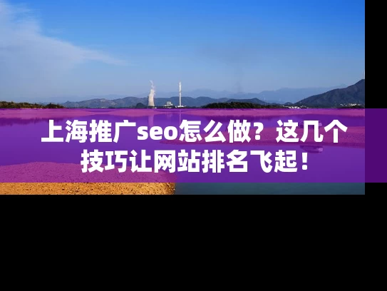 上海推广seo怎么做？这几个技巧让网站排名飞起！
