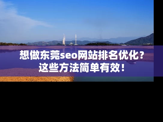想做东莞seo网站排名优化？这些方法简单有效！