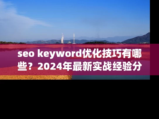 seo keyword优化技巧有哪些？2024年最新实战经验分享！
