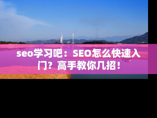 seo学习吧：SEO怎么快速入门？高手教你几招！