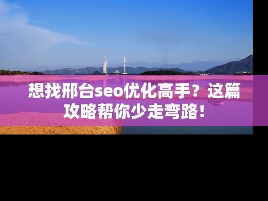 想找邢台seo优化高手？这篇攻略帮你少走弯路！