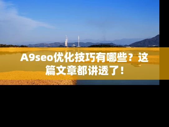 A9seo优化技巧有哪些？这篇文章都讲透了！
