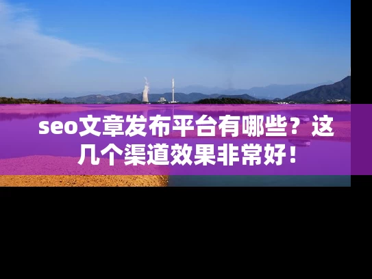seo文章发布平台有哪些？这几个渠道效果非常好！