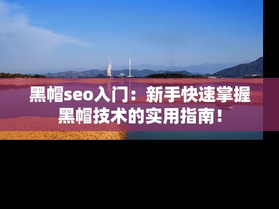 黑帽seo入门：新手快速掌握黑帽技术的实用指南！