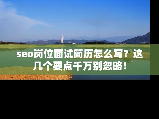 seo岗位面试简历怎么写？这几个要点千万别忽略！
