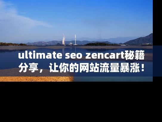 ultimate seo zencart秘籍分享，让你的网站流量暴涨！