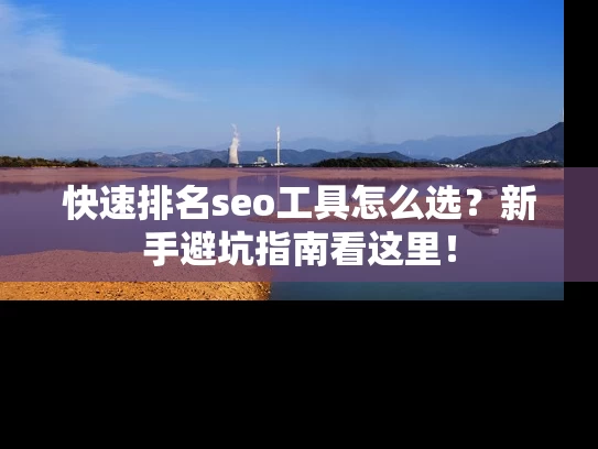 快速排名seo工具怎么选？新手避坑指南看这里！