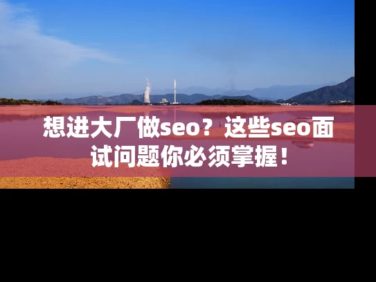 想进大厂做seo？这些seo面试问题你必须掌握！