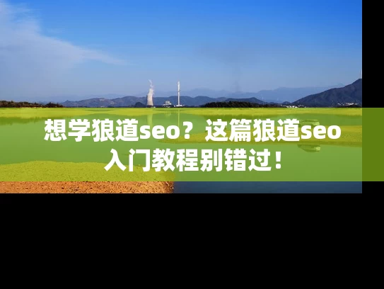 想学狼道seo？这篇狼道seo入门教程别错过！