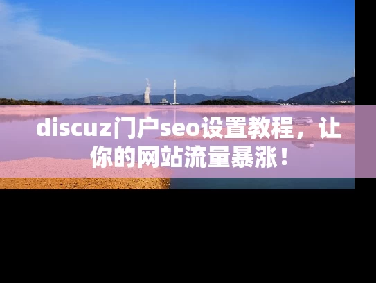 discuz门户seo设置教程，让你的网站流量暴涨！