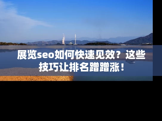 展览seo如何快速见效？这些技巧让排名蹭蹭涨！