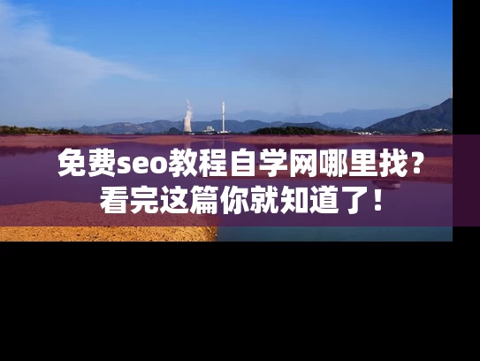 免费seo教程自学网哪里找？看完这篇你就知道了！