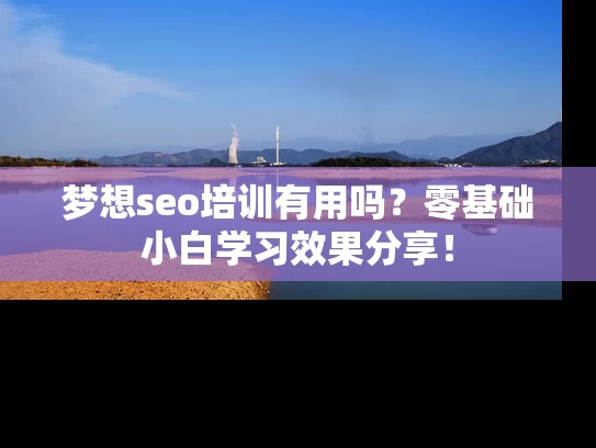 梦想seo培训有用吗？零基础小白学习效果分享！
