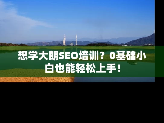 想学大朗SEO培训？0基础小白也能轻松上手！