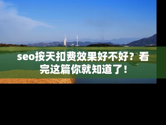 seo按天扣费效果好不好？看完这篇你就知道了！