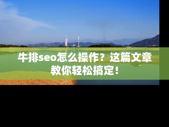 牛排seo怎么操作？这篇文章教你轻松搞定！