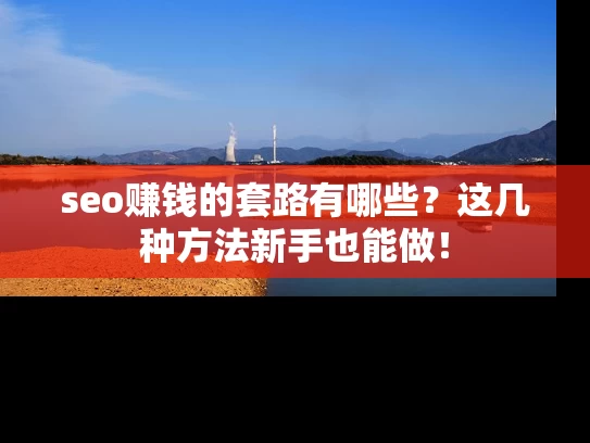 seo赚钱的套路有哪些？这几种方法新手也能做！