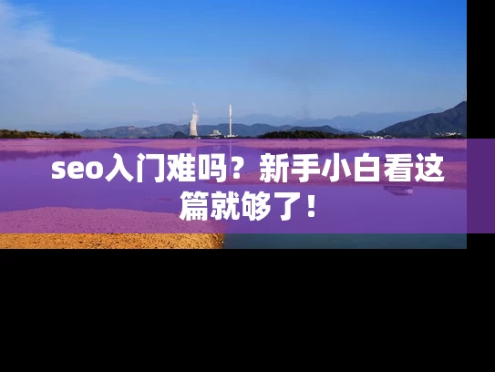 seo入门难吗？新手小白看这篇就够了！