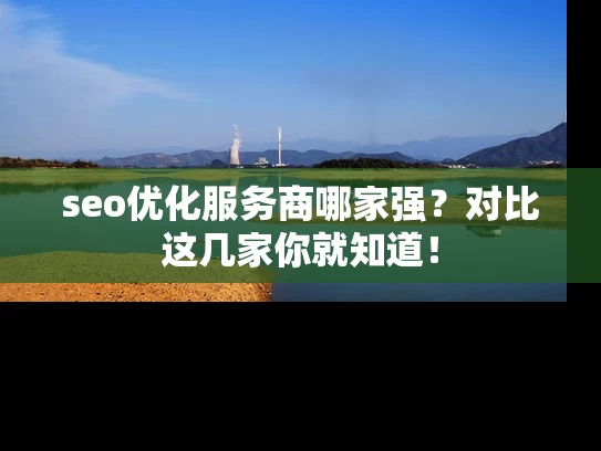 seo优化服务商哪家强？对比这几家你就知道！
