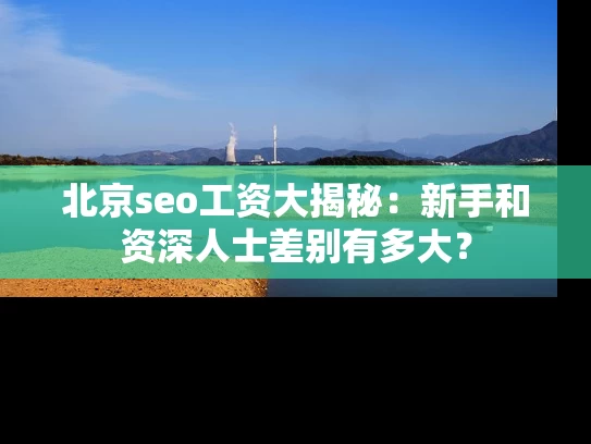 北京seo工资大揭秘：新手和资深人士差别有多大？