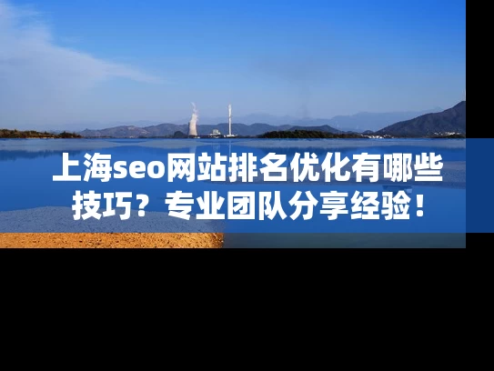 上海seo网站排名优化有哪些技巧？专业团队分享经验！