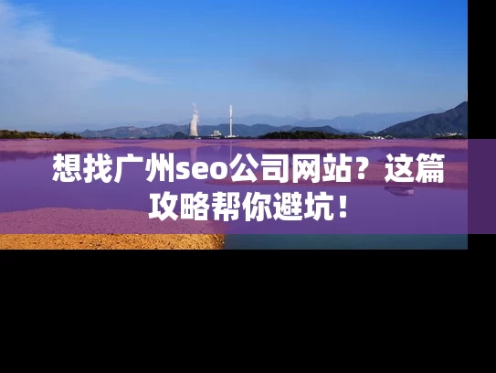 想找广州seo公司网站？这篇攻略帮你避坑！