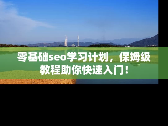零基础seo学习计划，保姆级教程助你快速入门！