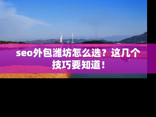 seo外包潍坊怎么选？这几个技巧要知道！