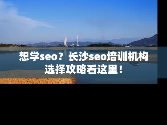 想学seo？长沙seo培训机构选择攻略看这里！