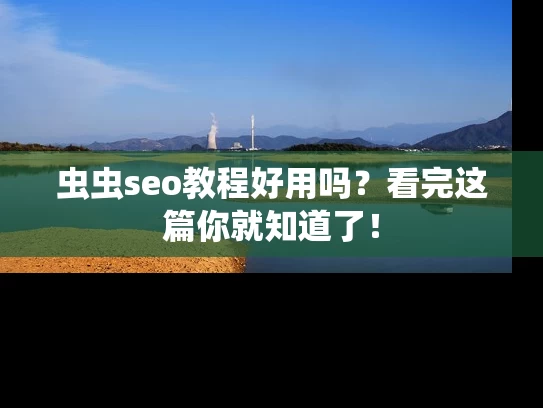 虫虫seo教程好用吗？看完这篇你就知道了！