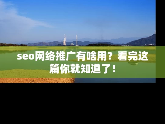 seo网络推广有啥用？看完这篇你就知道了！