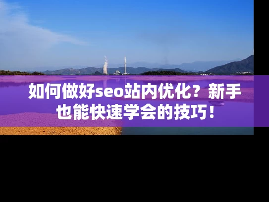 如何做好seo站内优化？新手也能快速学会的技巧！