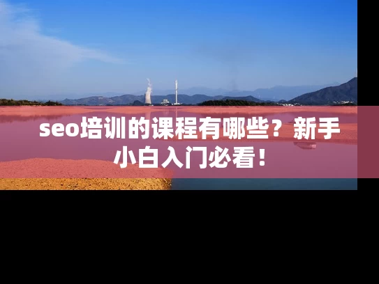 seo培训的课程有哪些？新手小白入门必看！