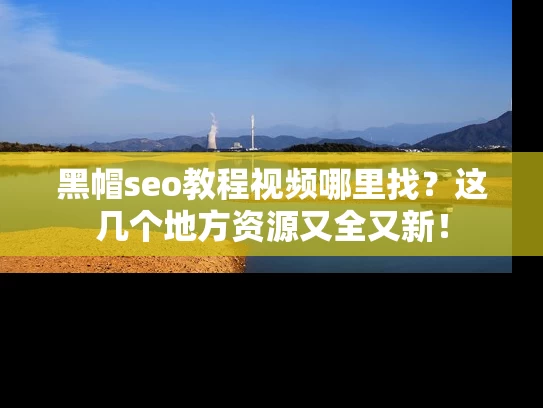 黑帽seo教程视频哪里找？这几个地方资源又全又新！