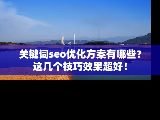 关键词seo优化方案有哪些？这几个技巧效果超好！