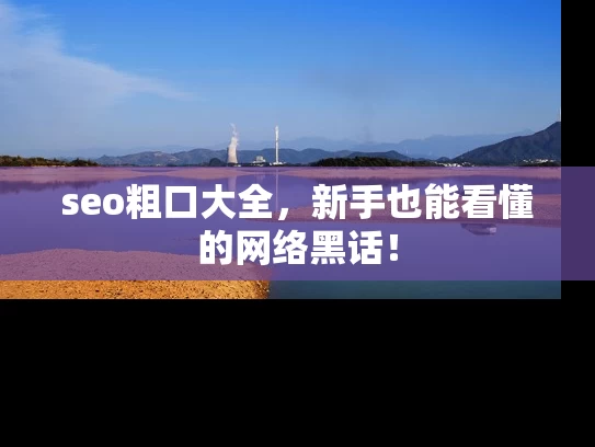seo粗口大全，新手也能看懂的网络黑话！