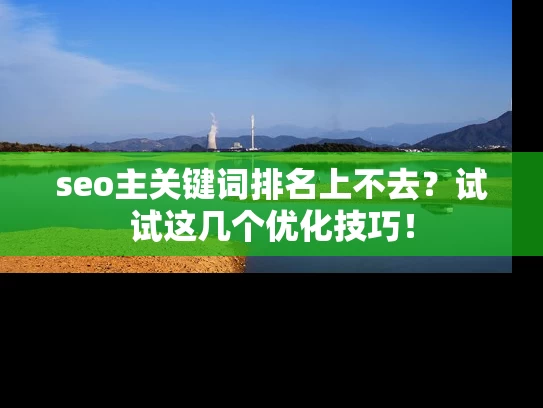 seo主关键词排名上不去？试试这几个优化技巧！