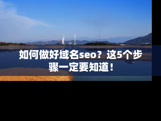 如何做好域名seo？这5个步骤一定要知道！